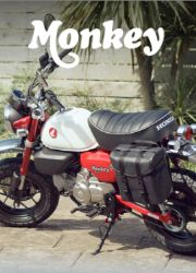 Monkey