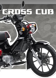 CROSS CUB