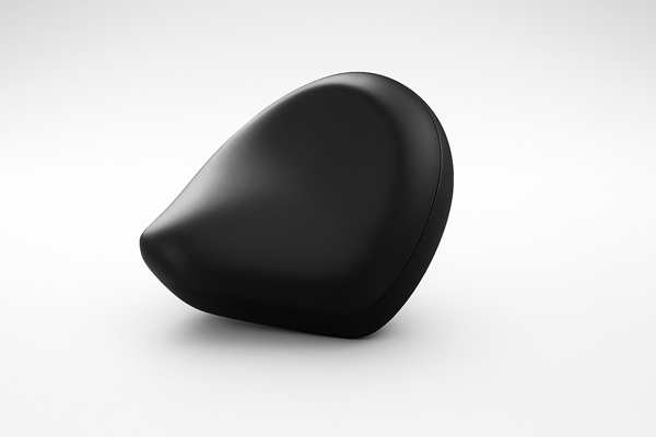 バックシート (Rebel 1100 T)