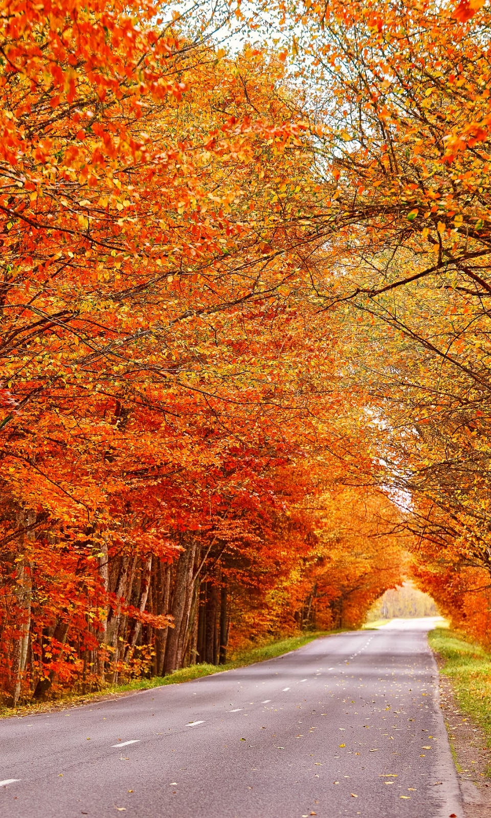 AUTUMN