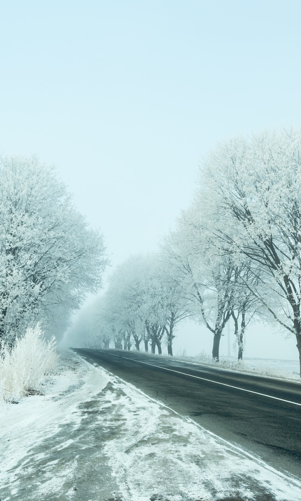 WINTER